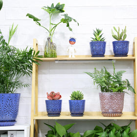 Gepege blue succulent pots on desk add calm decor to spaces