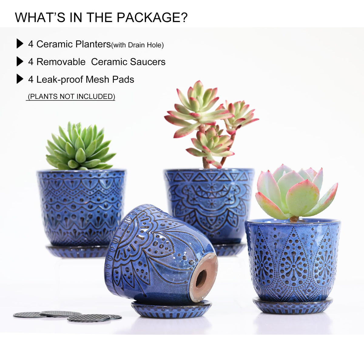 Gepege blue succulent pots interior mesh pad helps soil stay in place