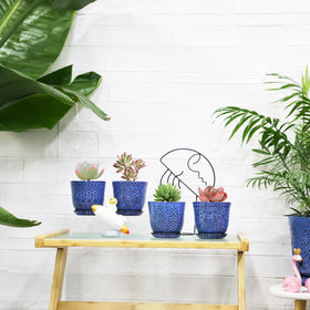 Gepege blue succulent pots set makes a thoughtful gift for plant lovers