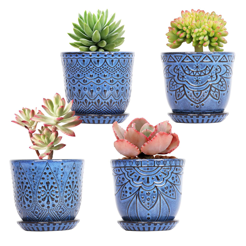 Gepege blue succulent pots set of 4 on a shelf for compact indoor displays