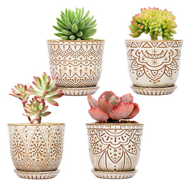 Gepege succulent pots with drainage holes in creamy white for healthy plants.