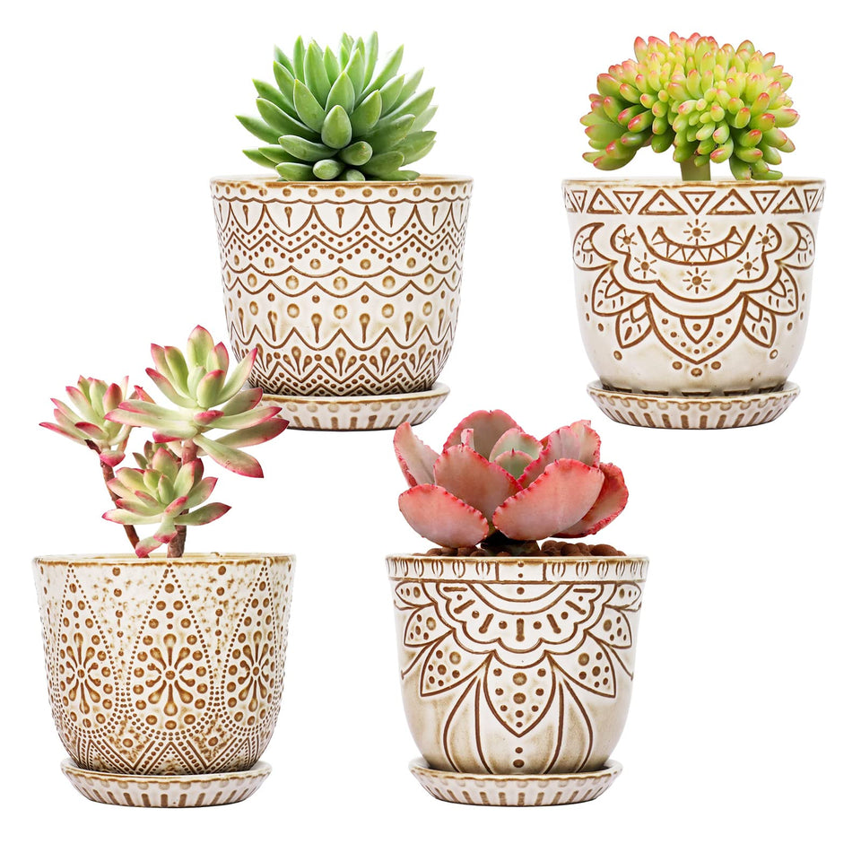 Gepege succulent pots with drainage holes in creamy white for healthy plants.