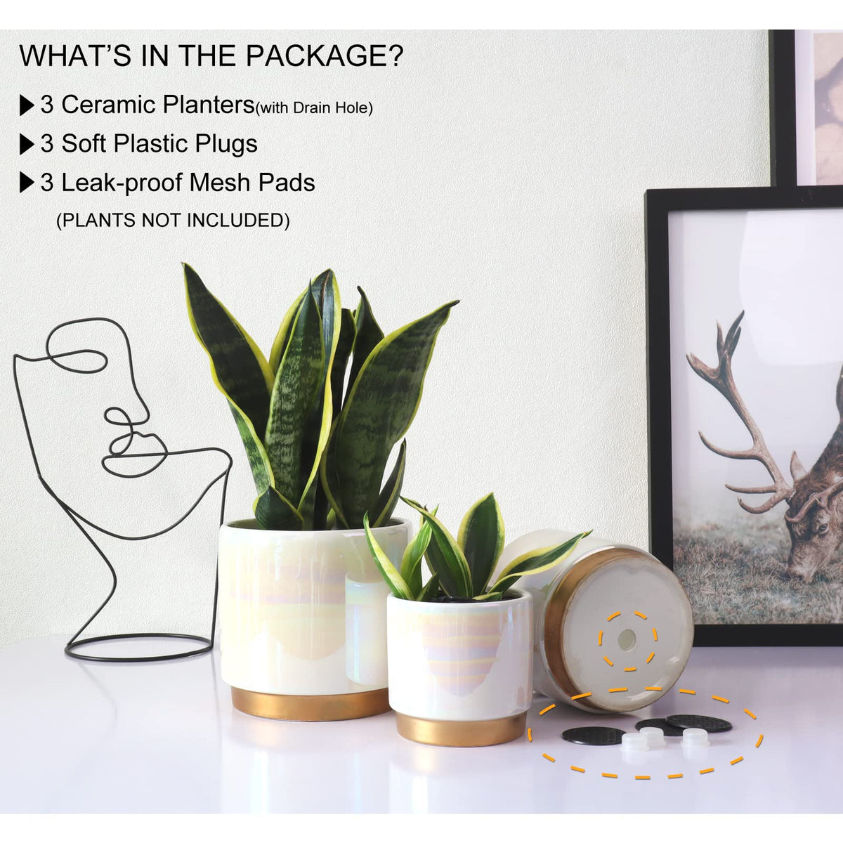 Gepege white indoor pot 4inch rainbow pearl glaze perfect for small succulents and orchids.