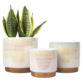 Gepege white indoor pot 6inch rainbow pearl glaze with drainage holes for healthy roots.