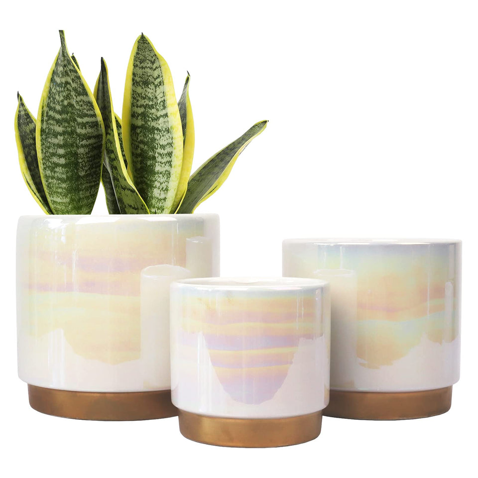 Gepege white indoor pot 6inch rainbow pearl glaze with drainage holes for healthy roots.