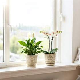 Gepege white planter enhances modern minimalist home decor