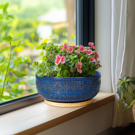 G EPGardening 8inch planter for indoor and outdoor setups
