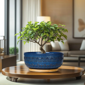 G EPGardening blue glaze pot on balcony, ideal for patio displays