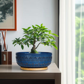 G EPGardening blue ceramic planter, side view, showcasing durable craftsmanship