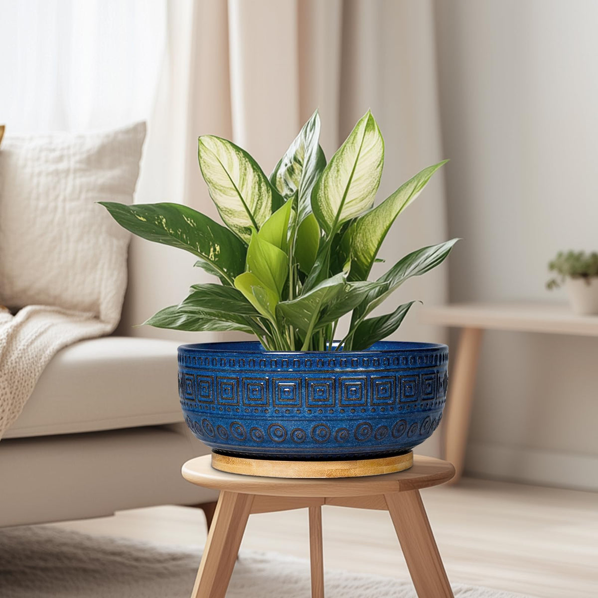 G EPGardening gift-ready bonsai pot, a thoughtful housewarming idea