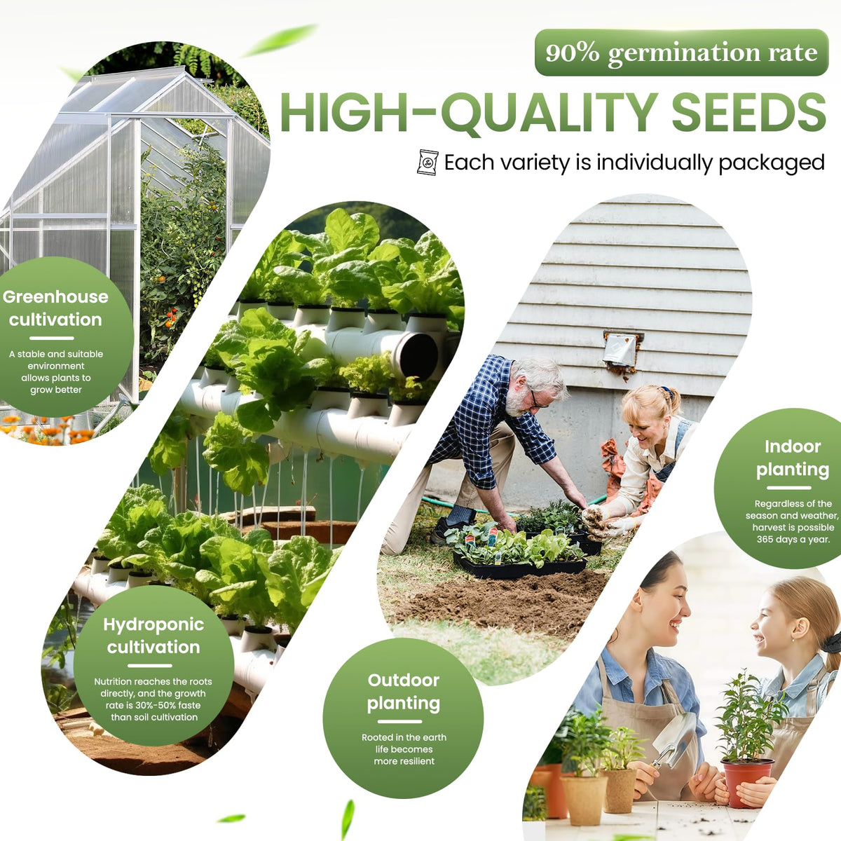 GermiGrow hydroponic-ready vegetable seeds for soil-free growing systems.