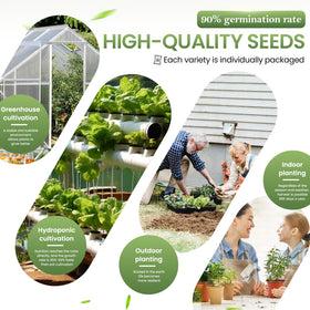 GermiGrow hydroponic-ready vegetable seeds for soil-free growing systems.