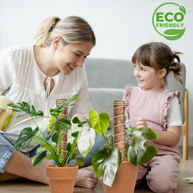 Aerial roots thriving with GEROSSI moss pole offering natural fiber nourishment
