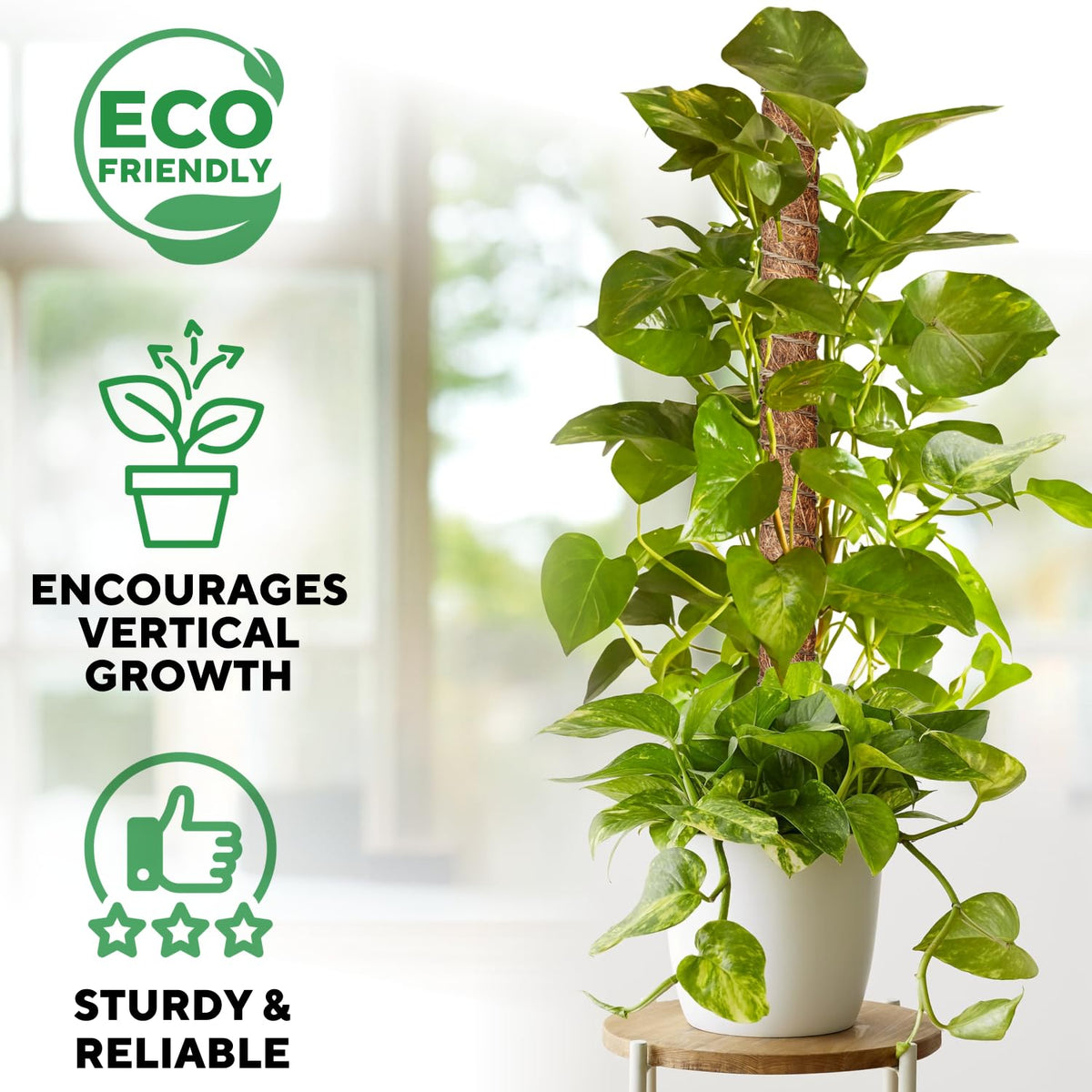 GEROSSI extendable moss pole demonstrates adjustable length for Monstera climbers