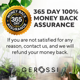 Indoor and outdoor use with GEROSSI moss pole for climbing plants