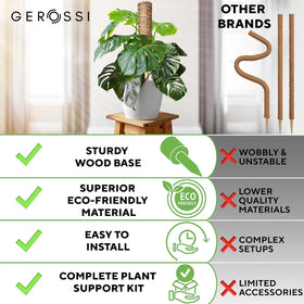 Monstera using GEROSSI moss pole for vertical growth and aerial root support