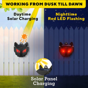 GEROSSI Solar Nocturnal Animal Repeller packaging displays the 4 pack for broad coverage