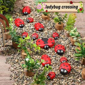 Gerrii Ladybug Stone Medium ideal for edging walkways and pots.