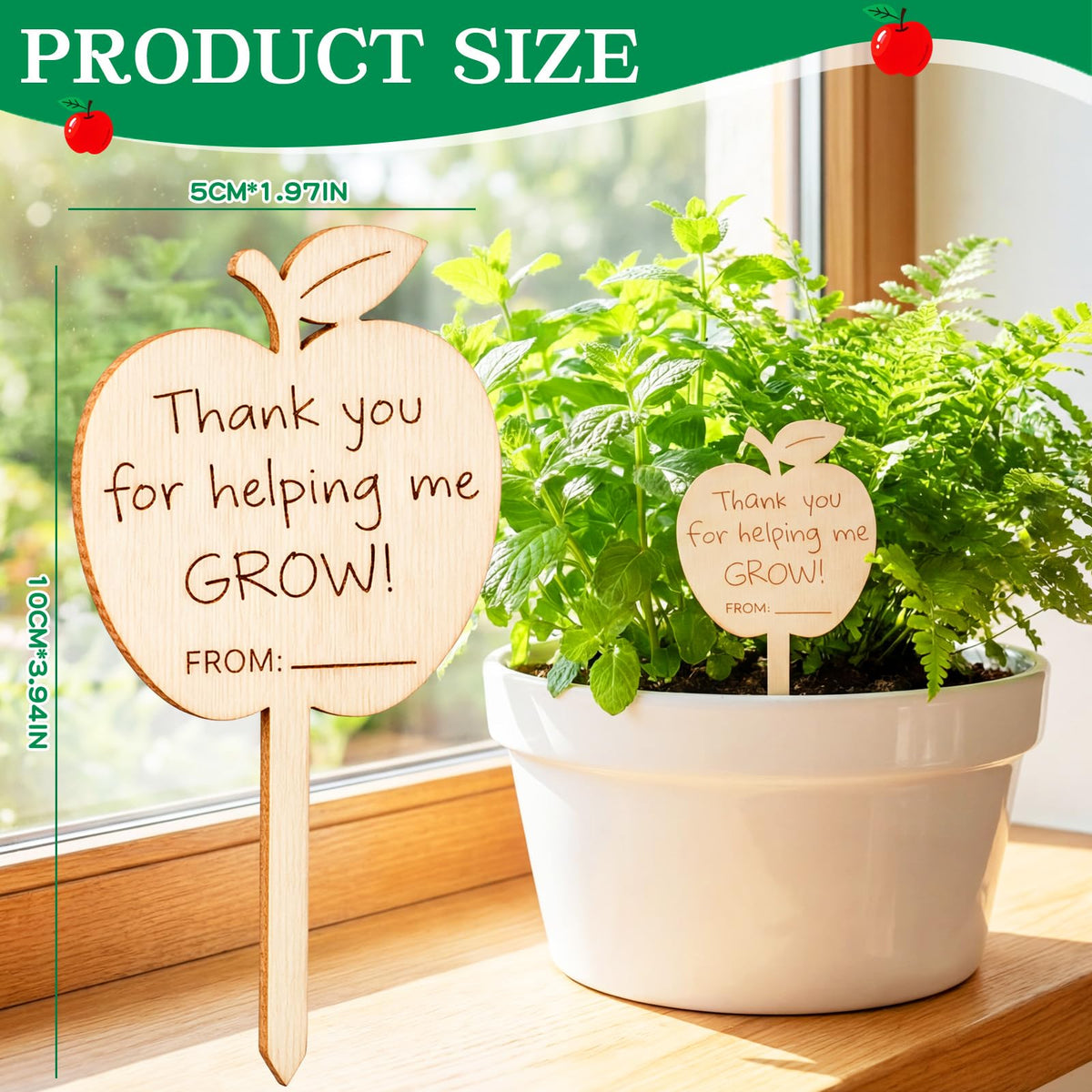 Gerrii succulent plant labels add charm to potting projects.