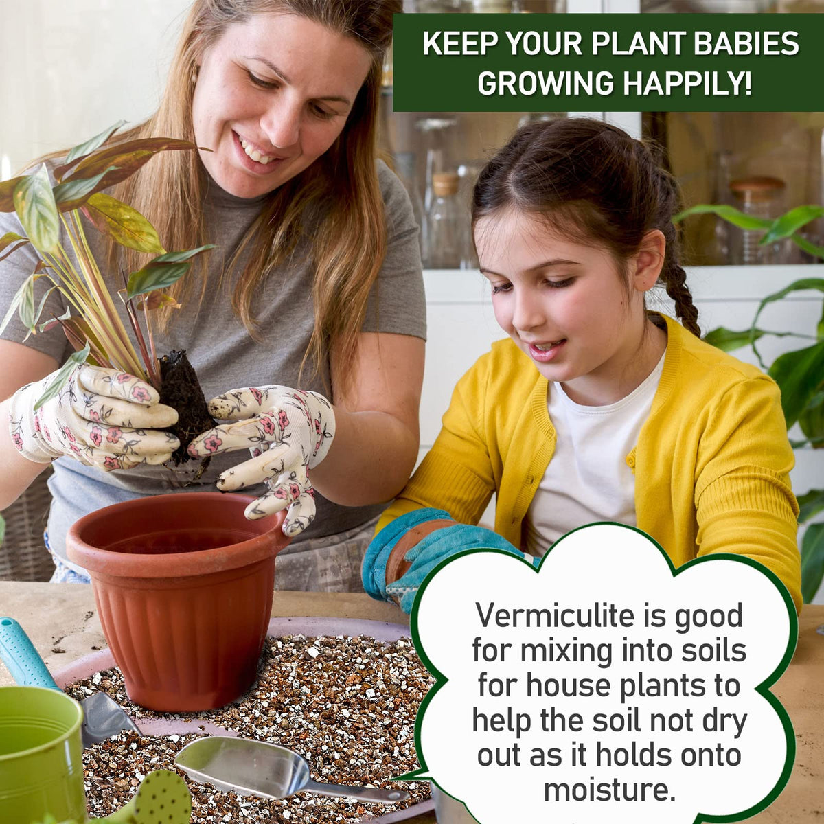 Gerta coarse-grade vermiculite for rooting cuttings supports root formation.