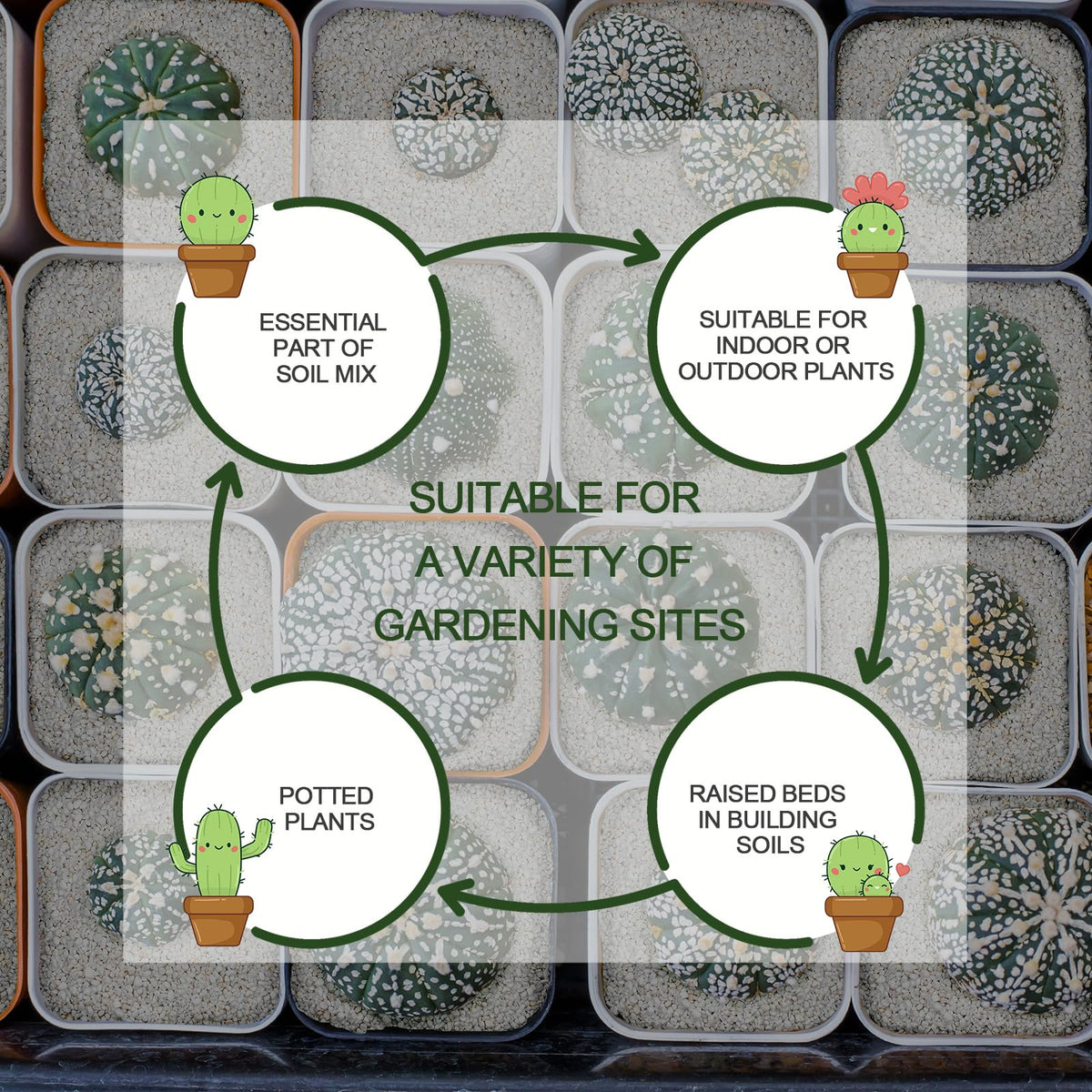 Gerta Perlite aerated soil mix enhances root oxygen access.
