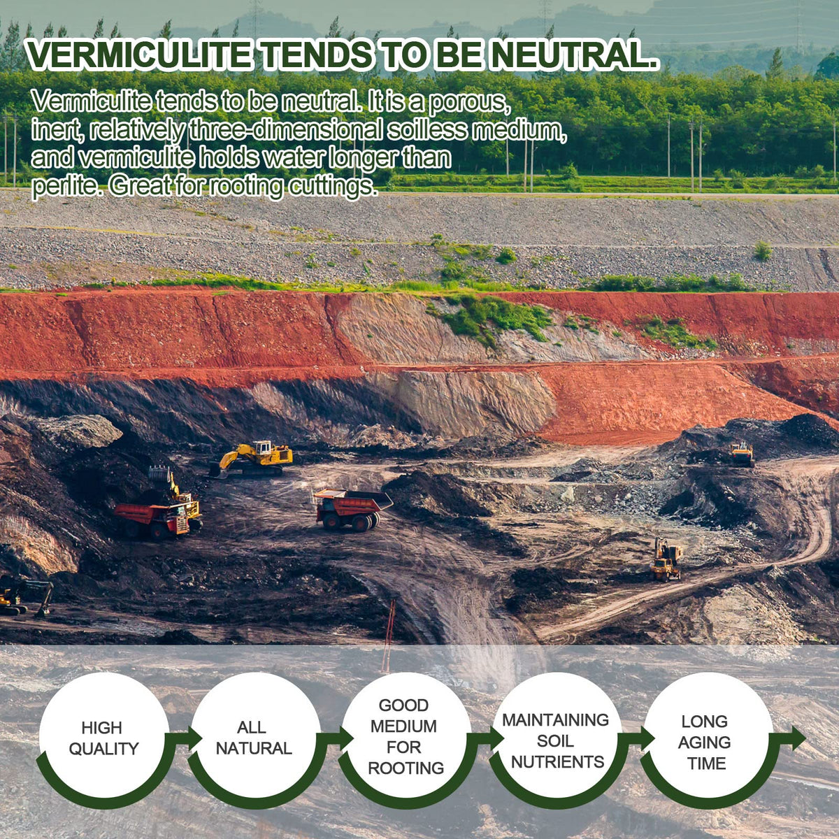 Gerta vermiculite seed starting media offers a lightweight, moisture-retentive base.