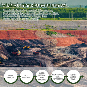 Gerta vermiculite seed starting media offers a lightweight, moisture-retentive base.