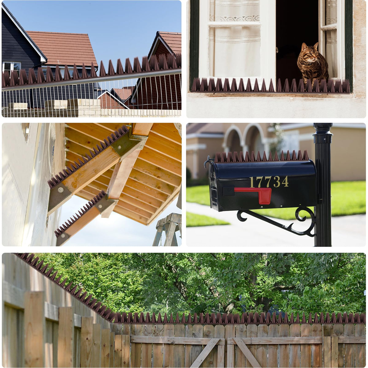 Geulieby spikes along eaves deter roosting along building edges
