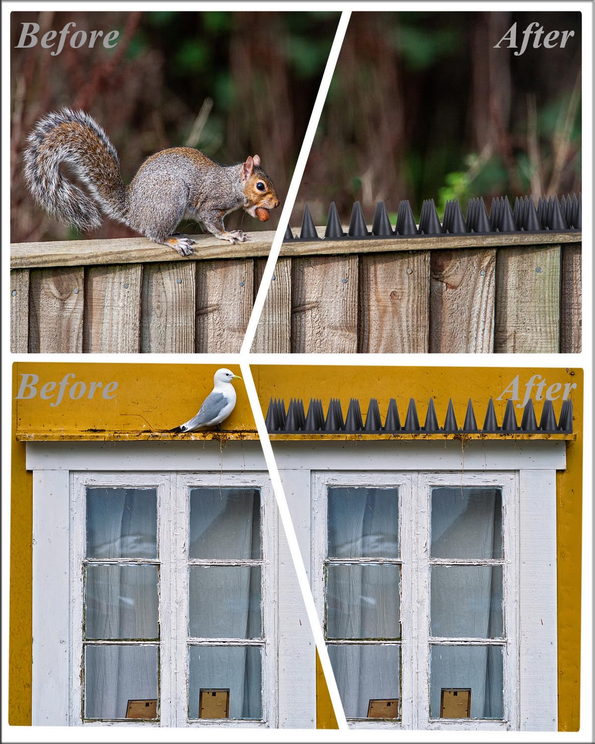 Geulieby spikes on ledge application prevent nesting on window sills and eaves.