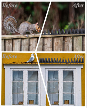 Geulieby spikes on ledge application prevent nesting on window sills and eaves.