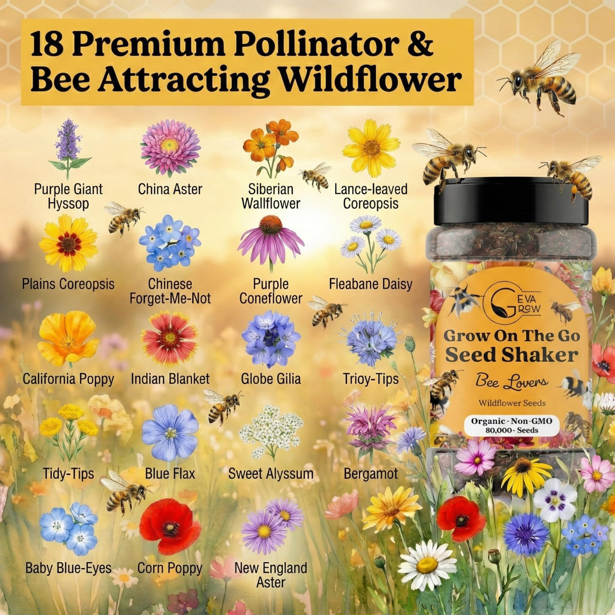 GevaGrow seeds are easy to plant in pots or garden beds.