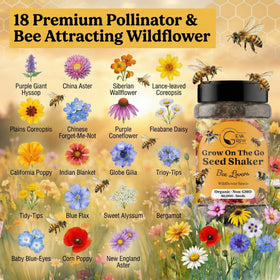 GevaGrow seeds are easy to plant in pots or garden beds.