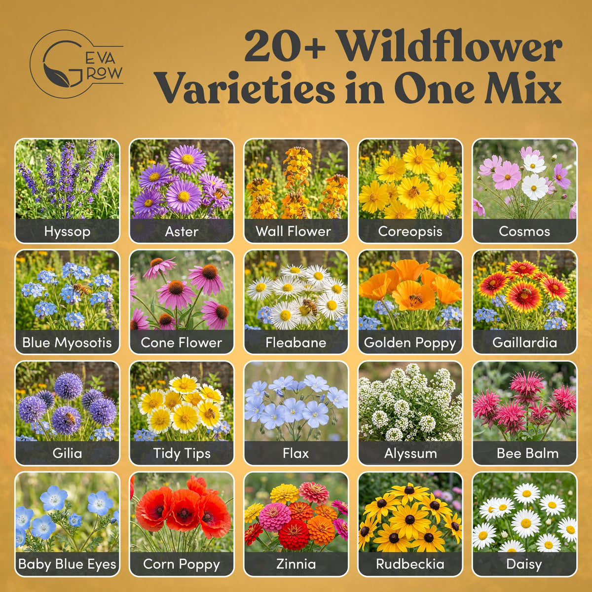 GevaGrow bee-pollinator-attracting bloom bed in a garden