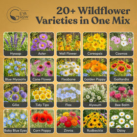 GevaGrow bee-pollinator-attracting bloom bed in a garden