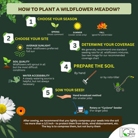 GevaGrow beginner-friendly mix is easy to grow for busy gardeners.