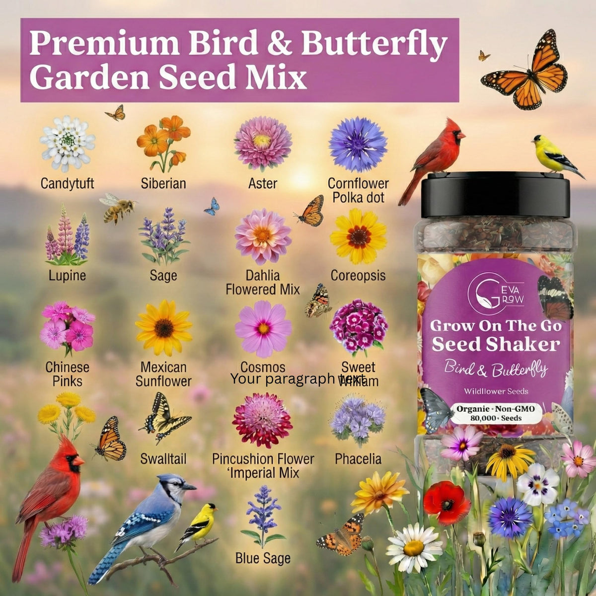 GevaGrow bird and butterfly garden mix attracts hummingbirds and butterflies