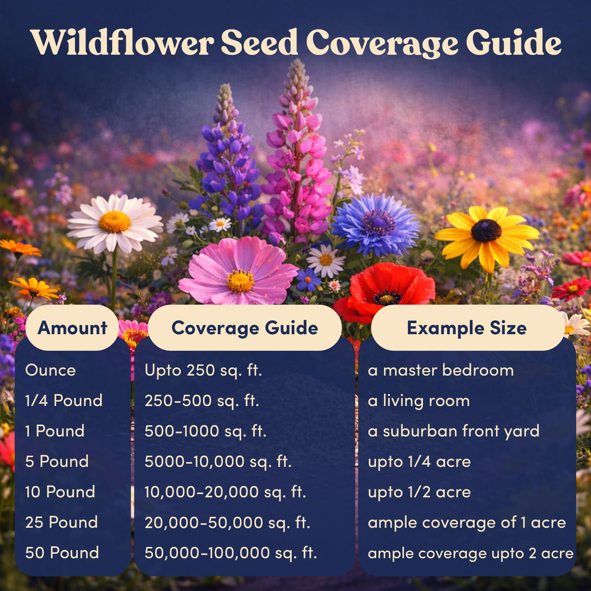 GevaGrow meadow-style lawn with naturalistic wildflowers and diverse textures.