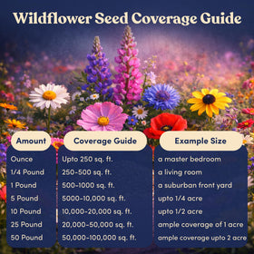 GevaGrow meadow-style lawn with naturalistic wildflowers and diverse textures.