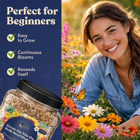 GevaGrow pollinator-friendly wildflowers attracting bees and butterflies.
