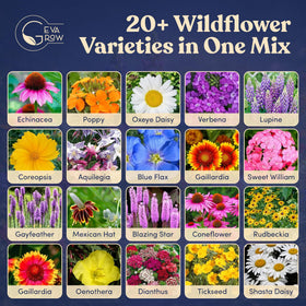 GevaGrow seed shaker close-up showing easy, even seed distribution.