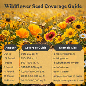 GevaGrow habitat for pollinators in a backyard biodiversity boost