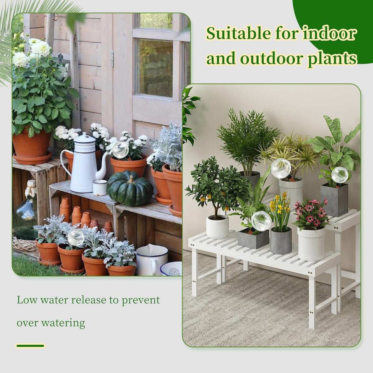 GEWOSI decorative watering globe adds color while supporting indoor plants.