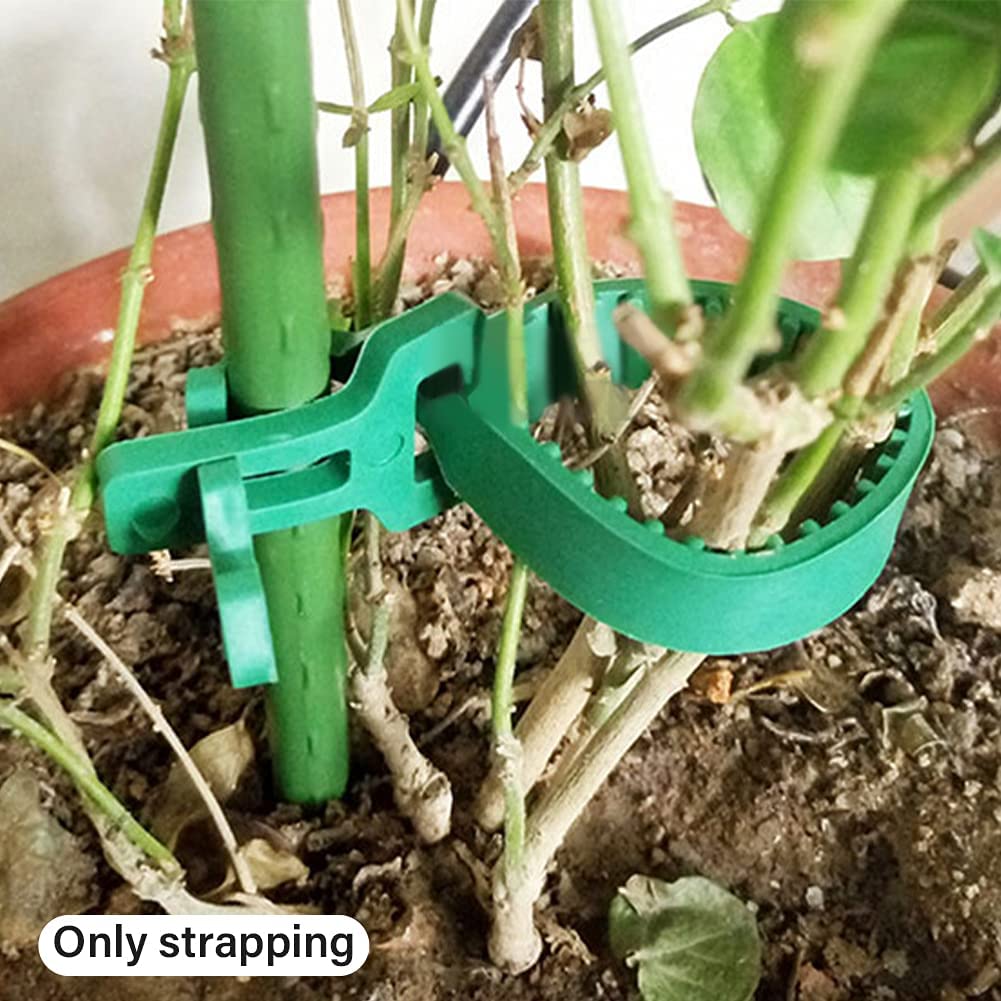 GEZICHTA 10-pack tree straps ready for multiple plants