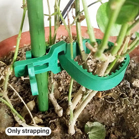 GEZICHTA 10-pack tree straps ready for multiple plants