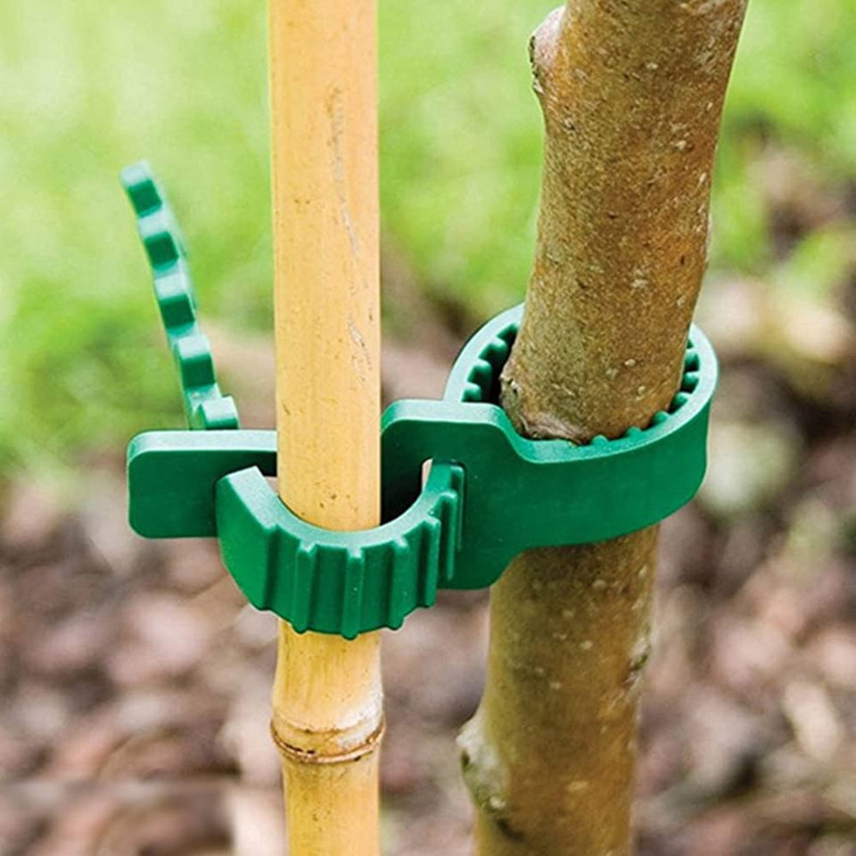 GEZICHTA tree stake band adjustable supports upright growth for young trees