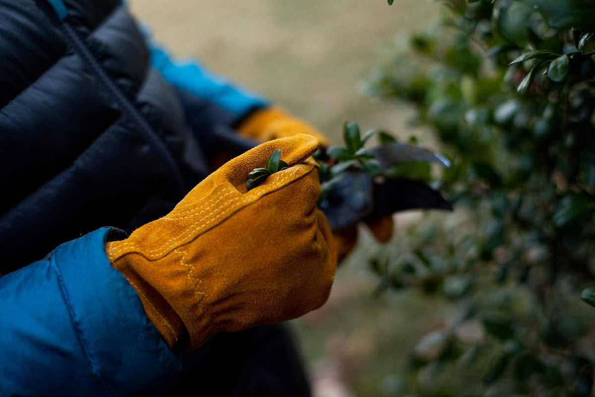G and F JustForKids gloves ready for DIY projects and garden chores.