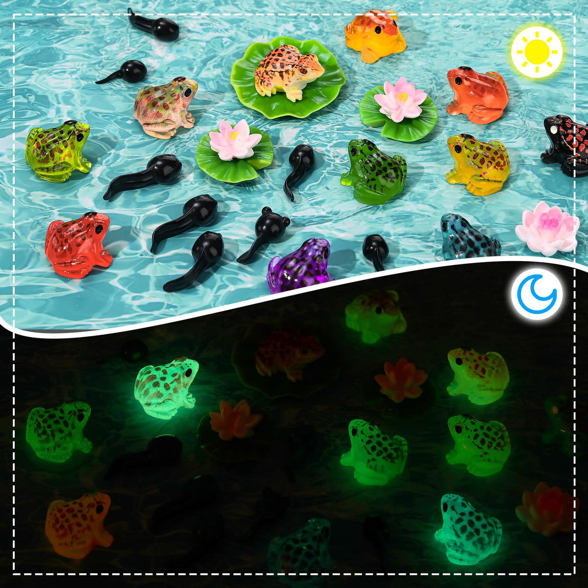 GGSTDDUP pond lily adds vibrant color to gardens, tanks, or tabletops