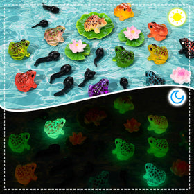 GGSTDDUP pond lily adds vibrant color to gardens, tanks, or tabletops