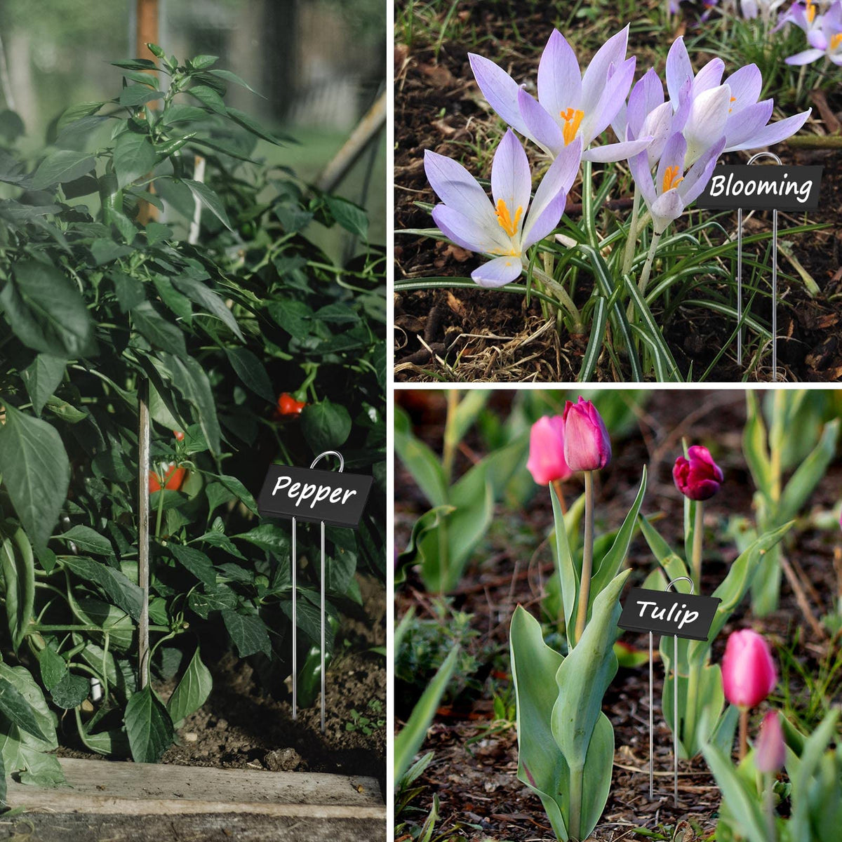 GHAMYEE garden-marker gift idea for plant enthusiasts