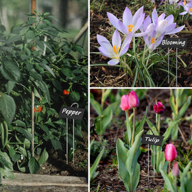 GHAMYEE garden-marker gift idea for plant enthusiasts